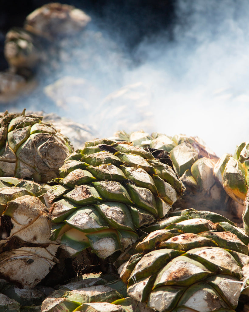 Mezcal Prohibido: La historia clandestina del alma de México